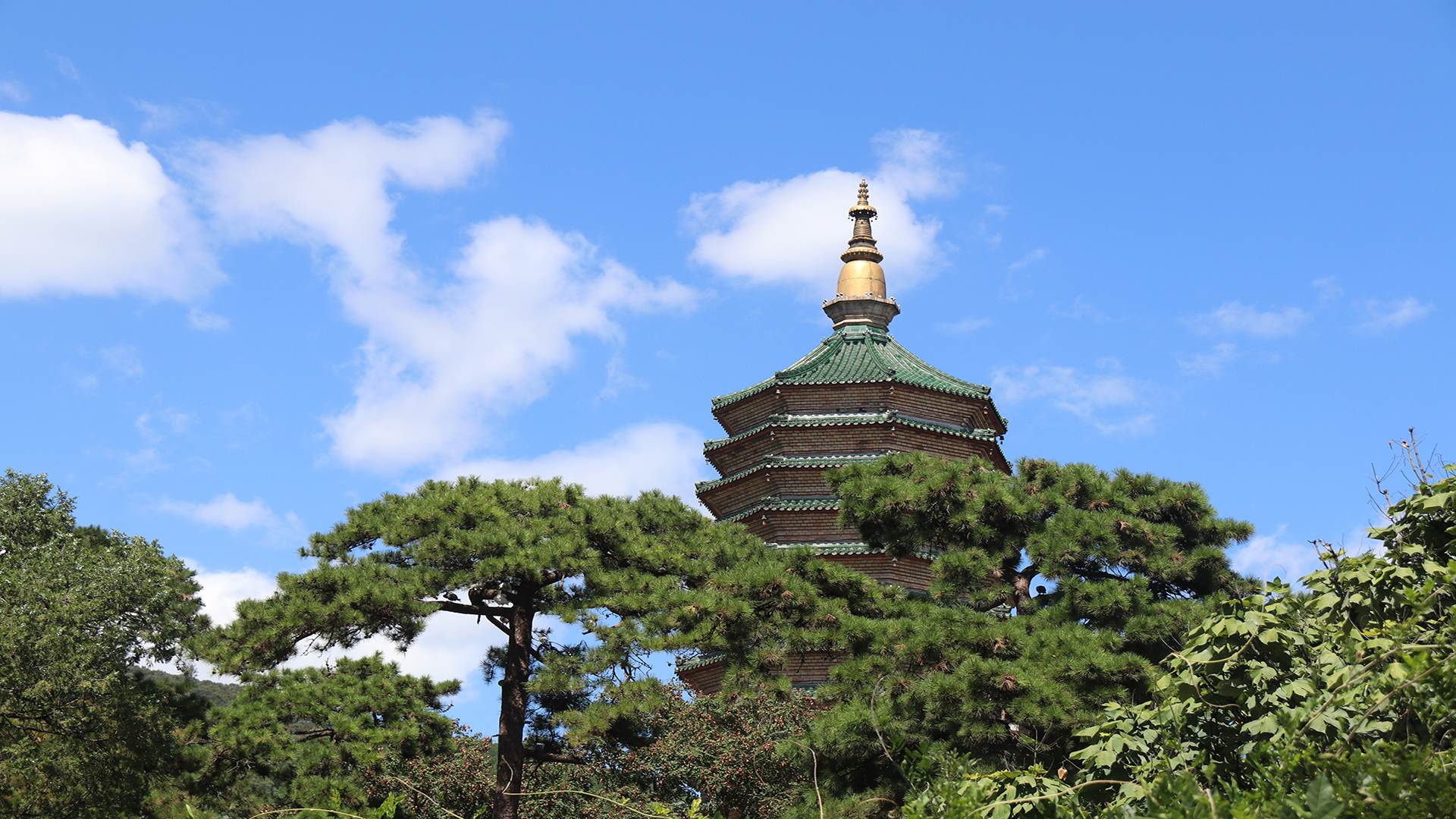 合理的使用小程序，做好产品销售