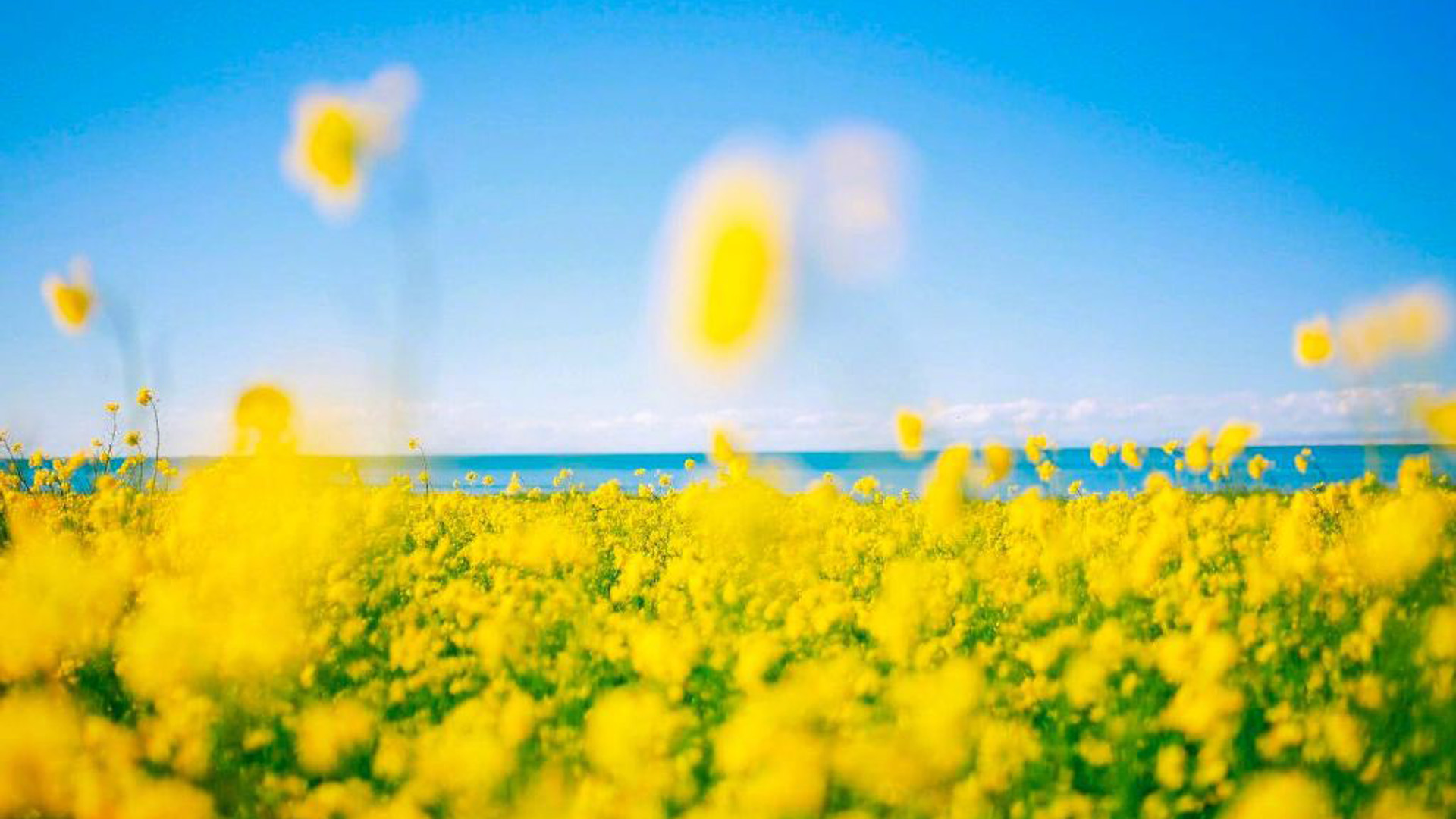 \u00e4\u00e4\u00e6\u00e8\u00e8\u00e5\u00e7\u00e5\u00e5\u00e5