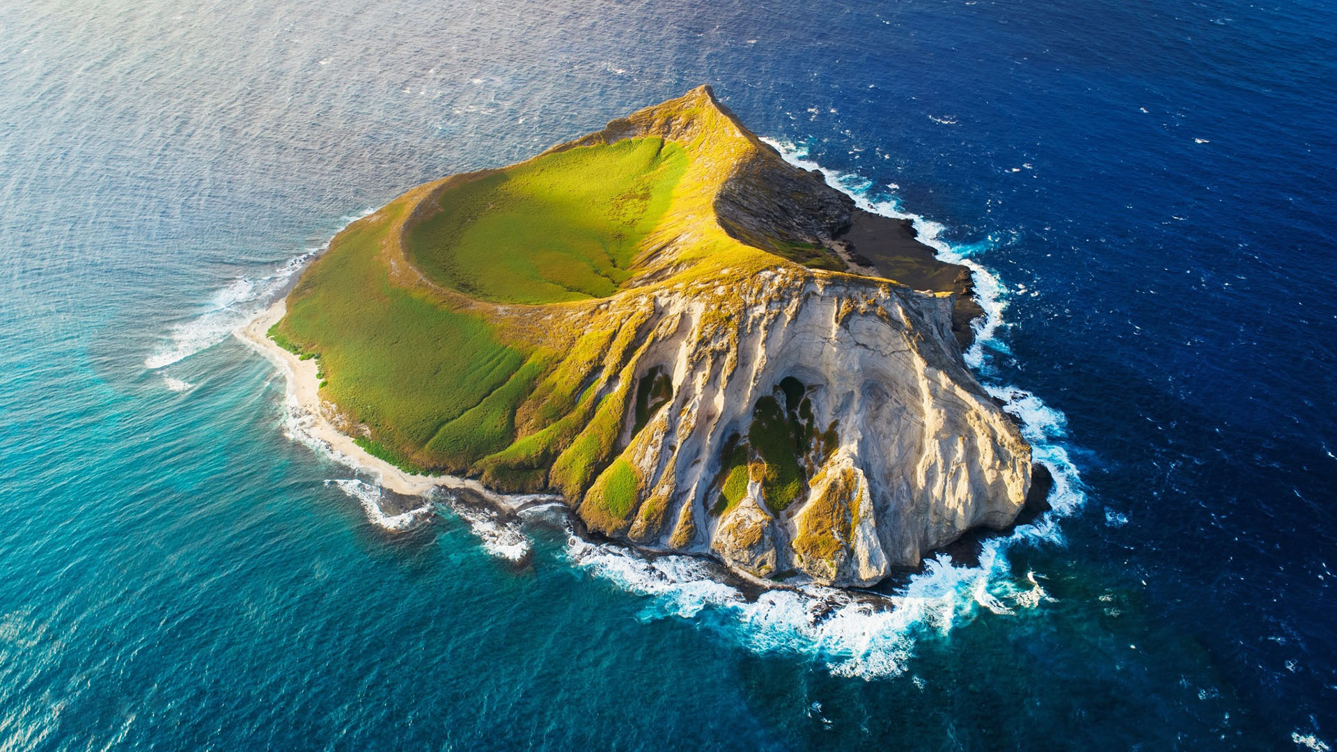 小程序新增功能做出卓越的贡献