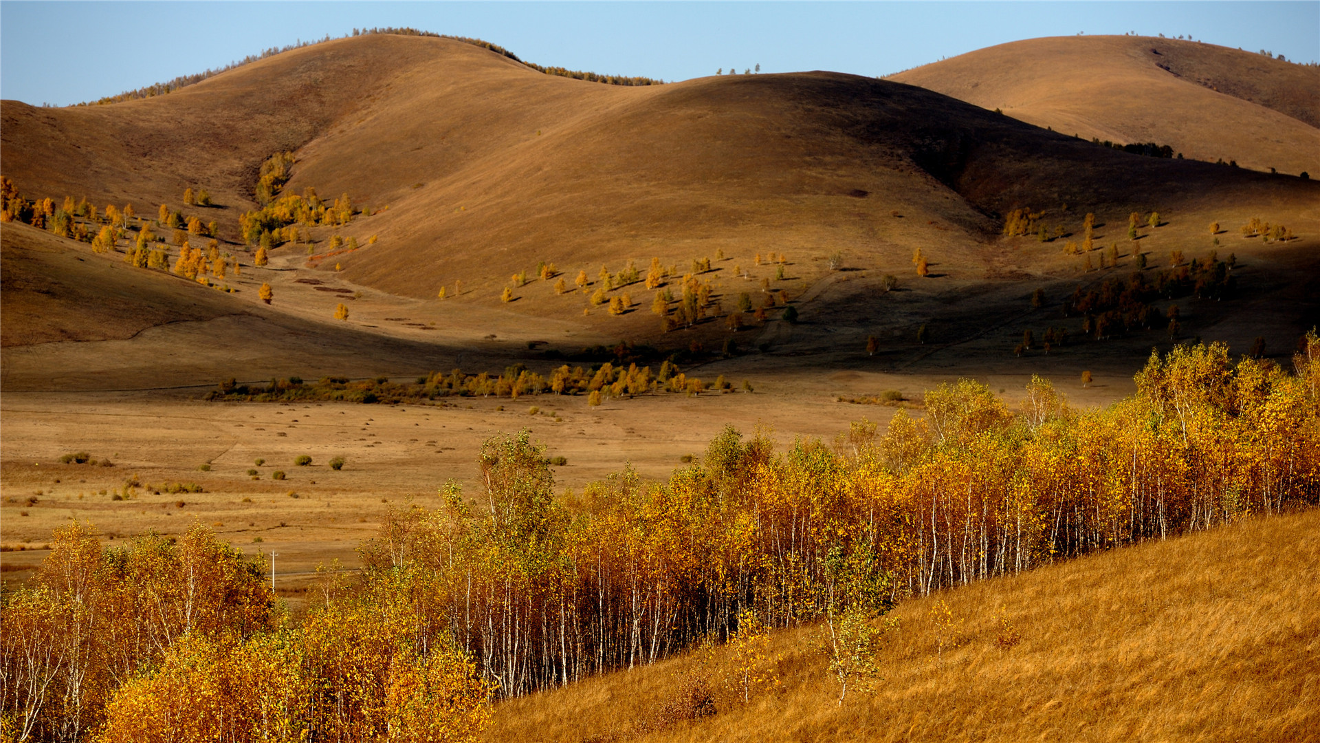 \u00e7\u00e6\u00e5\u00e5\u00e5\u00e7\u00e5\u00e5\u00e5\u00e4\u00e6