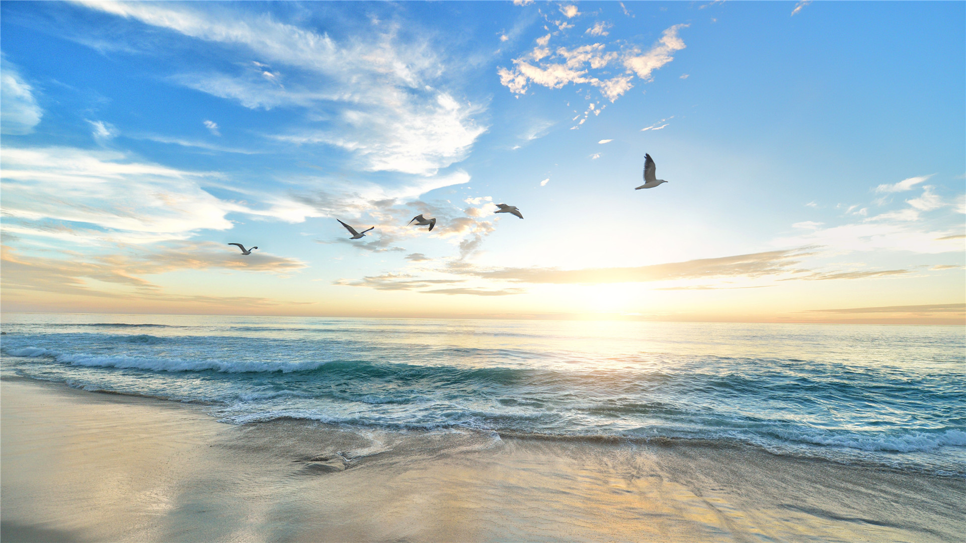 \u00e4\u00e5\u00e8\u00e8\u00e5\u00e7\u00e5\u00e5\u00e5\u00e4\u00e5\u00e5