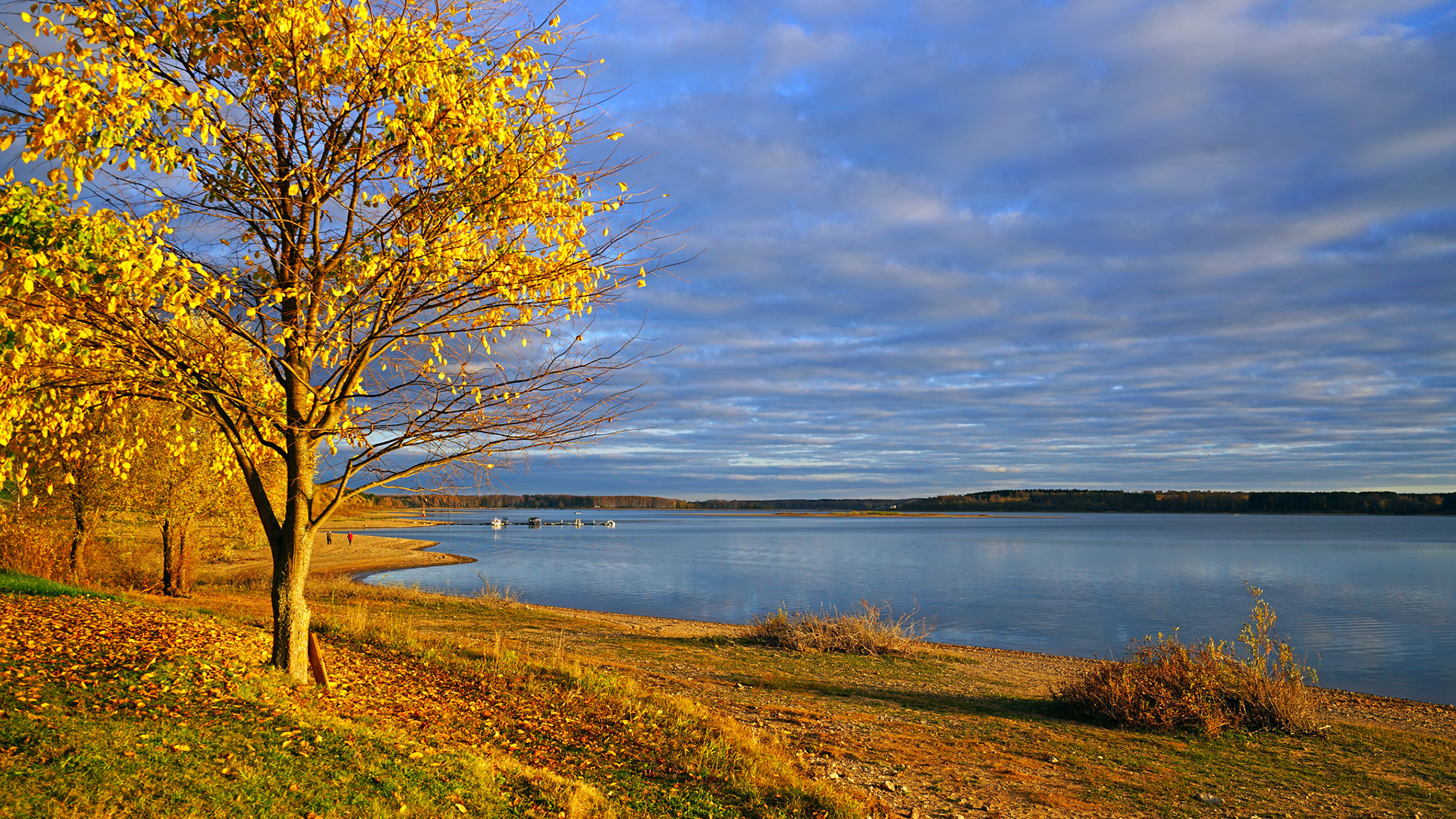 小程序新增功能做出卓越的贡献