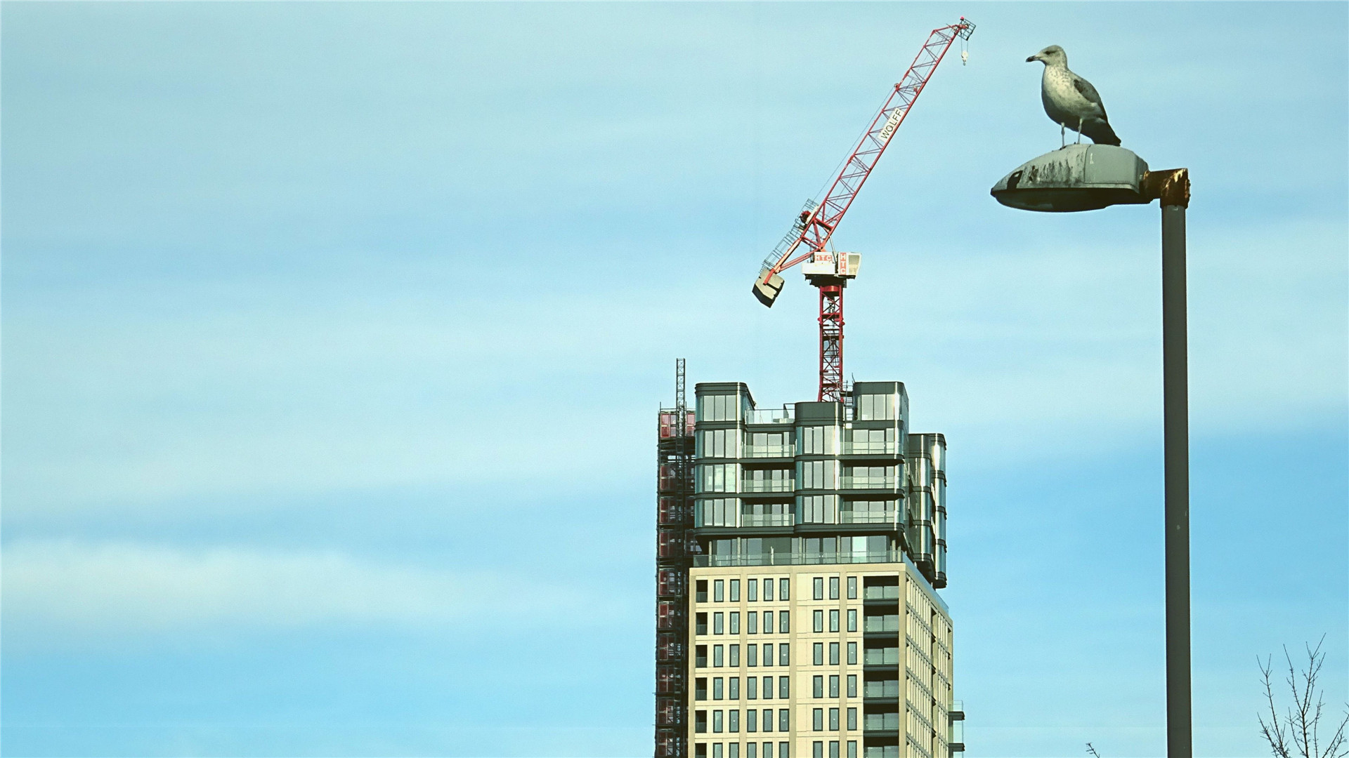 企业微信自媒体运营方案