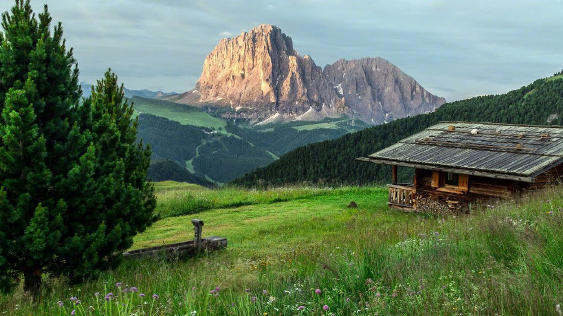 \u00e5\u00e4\u00e4\u00e7\u00e2\u00e9\u00e8\u00e7\u00e5\u00e7\u00e5\u00e2\u00e5\u00e8\u0020\u00e7\u00e6\u00e5\u00e5\u00e4\u00e9\u00e6\u00e6\u00e5