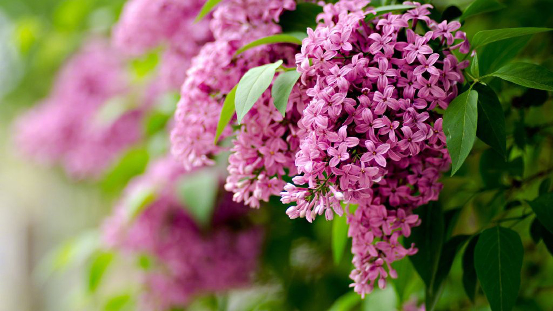 \u00e9\u00e4\u00e6\u00e9\u00e6\u00e6\u00ef\u00e4\u00e4\u00e5\u00e4\u00e5\u00e5\u00e4\u00e5\u00e8\u00e7\u00e4\u00e8\u00e5\u00e9\u00e4\u00ef\u00e6\u00e9\u00e6\u00e9\u00e6\u00e7