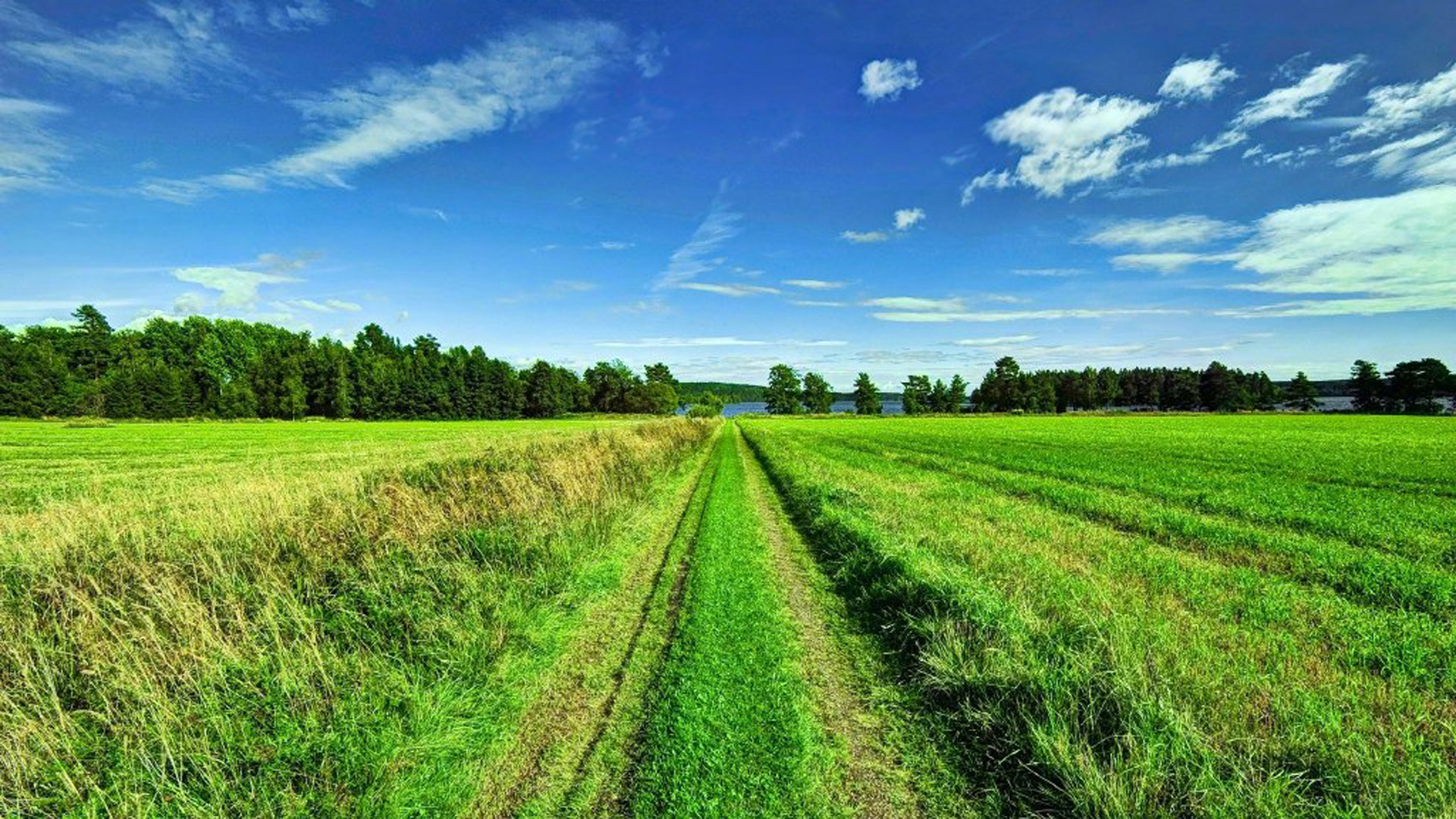 \u00e4\u00e4\u00e5\u00e7\u00e7\u00ef\u00e4\u00e4\u00e5\u00e4\u00e9\u00e4\u00e7\u00e7\u00ef\u00e6\u00e5\u00e7\u00e7\u00e6\u00e8