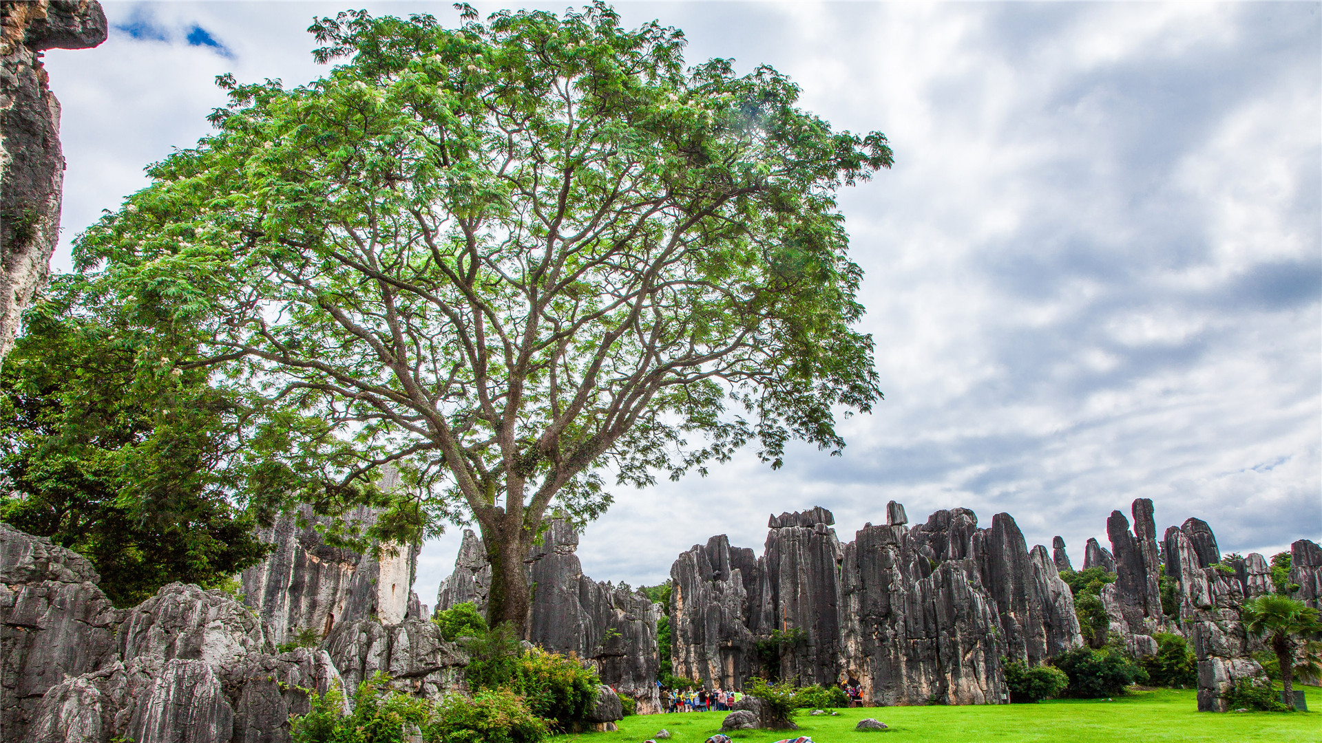 \u00e9\u00e9\u00e8\u00e4\u00e7\u00e5\u00e6\u00e5\u00ef\u00e5\u00e4\u00e9\u00e8\u00e5\u00e7\u00e5\u00e6\u00e4\u00e5\u00e7\u00e8\u00e9\u00e5\u00e5\u00e5\u00e6\u00e5