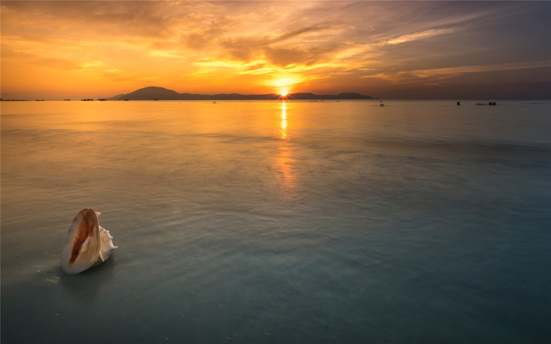 \u00e5\u00e5\u00e9\u00e5\u00e6\u00e4\u00e4\u00e8\u00e5\u00e7\u00ef\u00e4\u00e4\u00e9\u00e7\u0053\u0043\u0052\u004d\u00e7\u00e5\u00e7