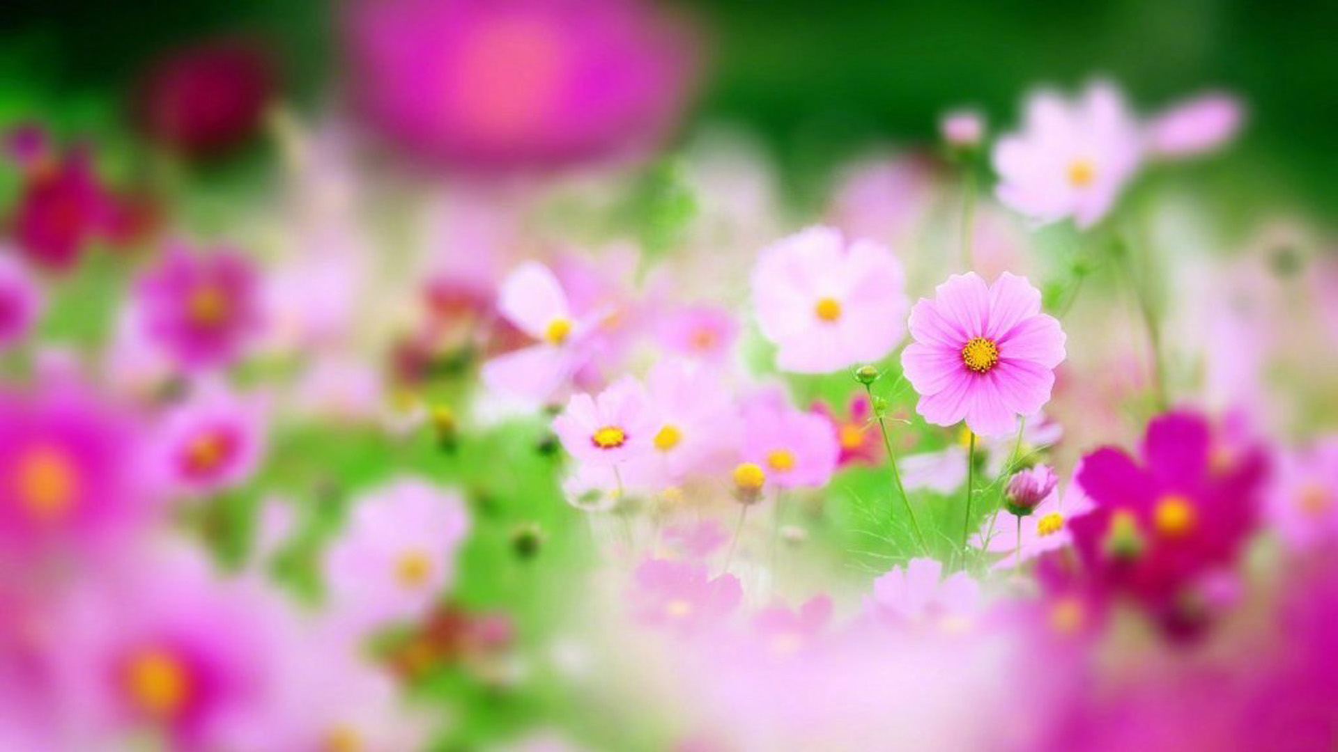 \u00e7\u00e5\u00e5\u00e5\u00e5\u00e7\u00e5\u00ef\u00e6\u00e9\u00e4\u00e4\u00e5\u00e7\u00e4\u00e5\u00e7\u00e9\u00e5\u00e5\u00e5