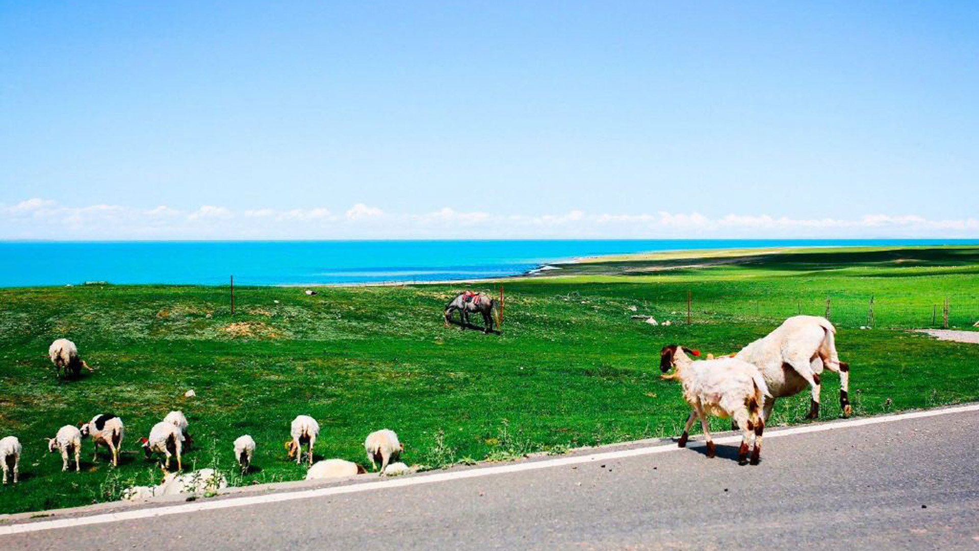 \u00e7\u00e4\u00e7\u00e6\u00e6\u00e5\u00ef\u00e5\u00e7\u00e5\u00e6\u00e4\u00e5\u00e5\u00e5\u00e7\u00e4\u00e7\u00e4\u00e7\u00e8