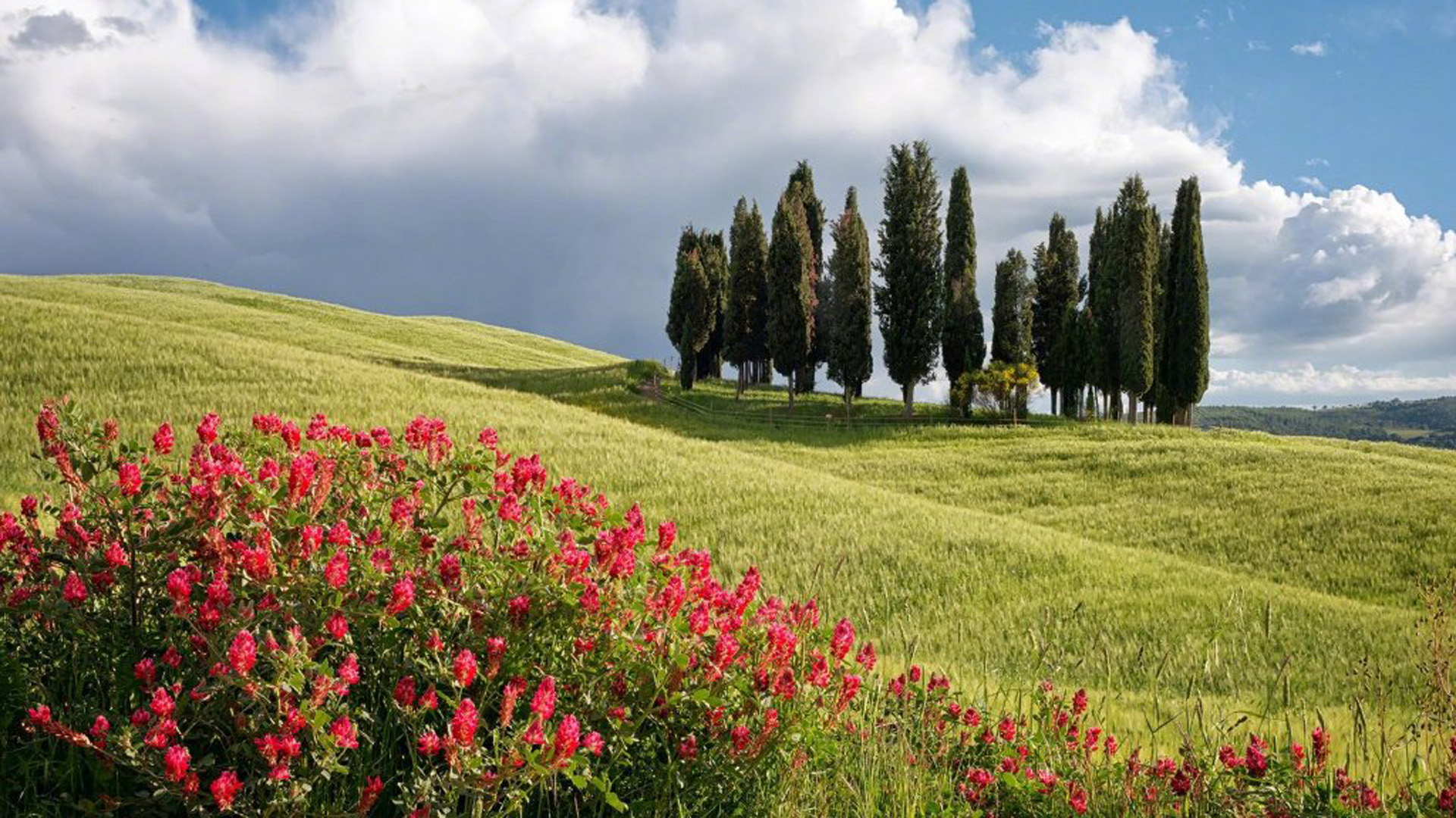 \u00e5\u00e9\u00e8\u00e4\u00e6\u00e4\u00e5\u00e8\u00e4\u00e6\u00e5\u00e6\u00e4