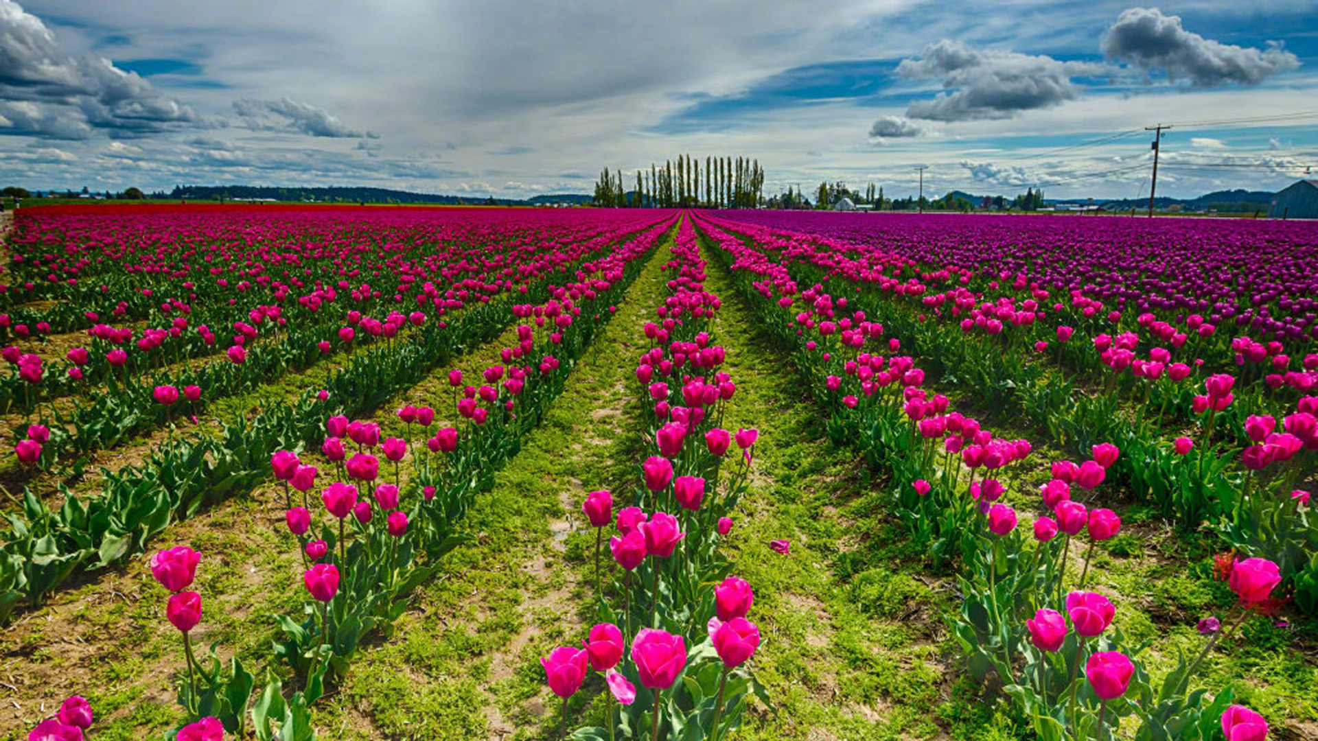 \u00e5\u00e4\u00e7\u00e5\u00e5\u00e7\u00e5\u00ef\u00e8\u00e4\u00e6\u00e6\u00e3\u00e8\u00e6\u00e7\u00e5\u00e4\u00e7\u00e5\u00e7\u00e6