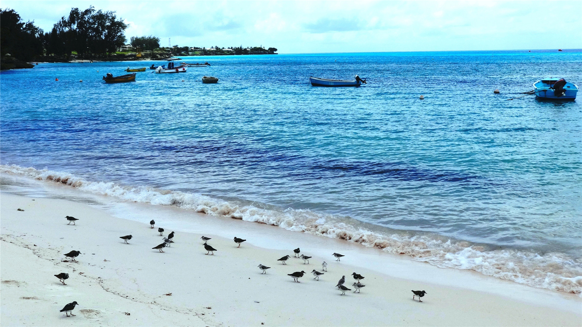 \u00e5\u00e4\u00e7\u00e5\u00e5\u00e7\u00e5\u00ef\u00e8\u00e4\u00e6\u00e6\u00e3\u00e8\u00e6\u00e7\u00e5\u00e4\u00e7\u00e5\u00e7\u00e6