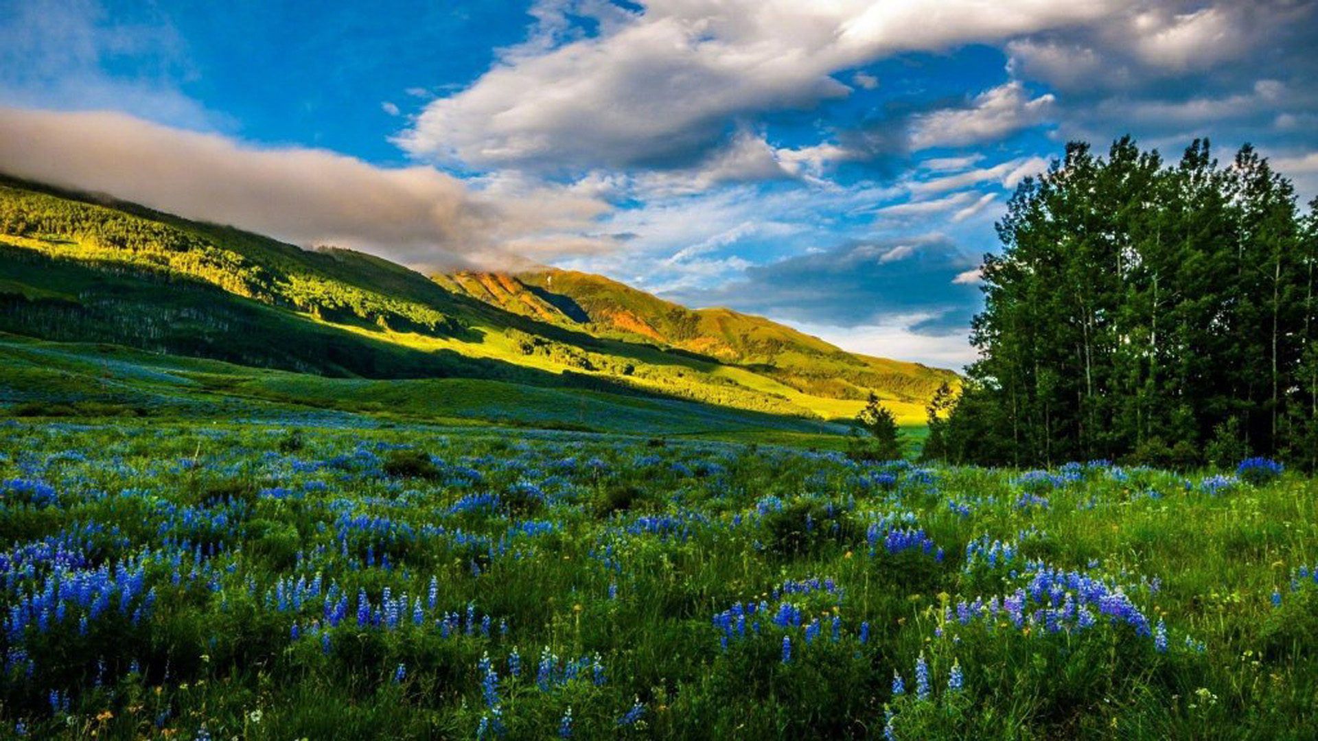 \u00e4\u00e6\u00e7\u00e6\u00e9\u00e7\u00e5\u00e4\u00e4\u00e4\u00e6\u00e5\u00e5