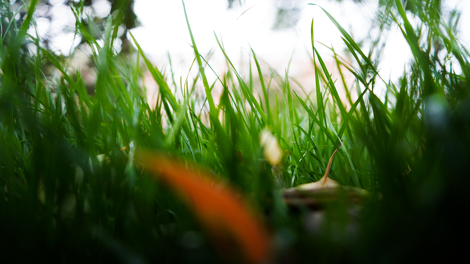 \u00e6\u00e8\u00e8\u00e4\u00e7\u00e6\u00e8\u00e9\u00e9\u00ef\u00e5\u00e7\u00e5\u00e5\u00e7\u00e8\u00e7\u00e6\u00e5\u00e3\u00e8\u00e8\u00e5\u00e4\u00e5\u00e7\u00e6\u00e6\u00e9