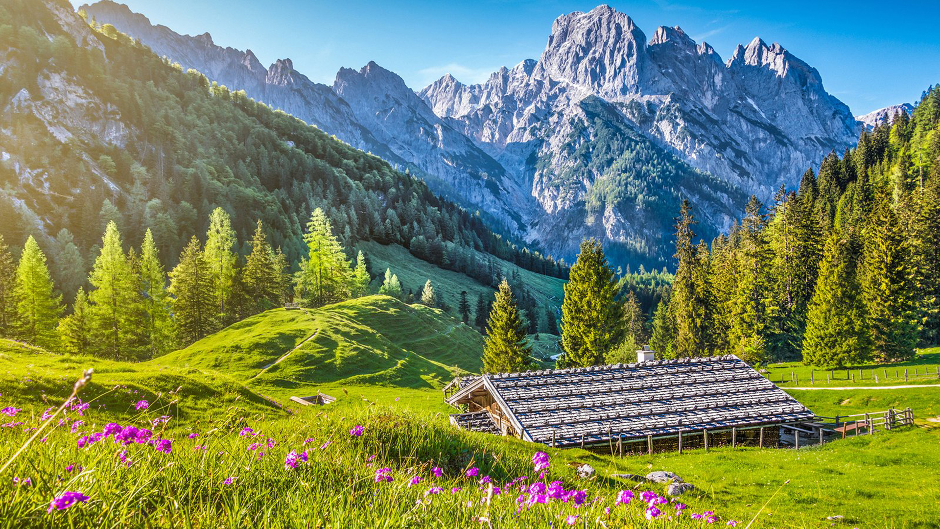 \u0053\u0043\u0052\u004d\u00e6\u00e6\u00e5\u00e6\u00e7\u00e5\u00e7\u00e6\u00e5