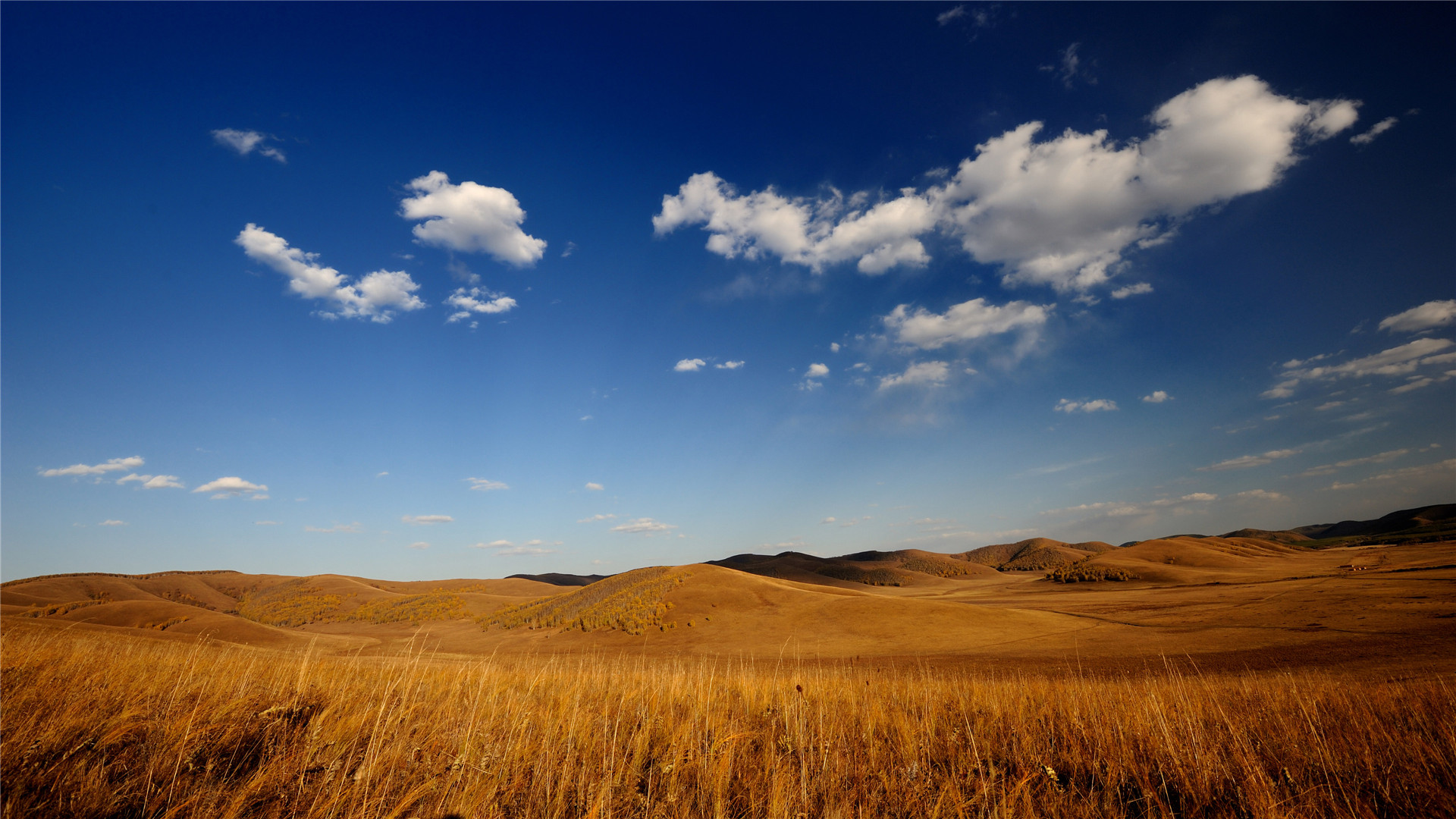 \u00e7\u00e5\u00e4\u00e9\u00e8\u00e5\u00e7\u00e5\u00ef\u00e7\u00e4\u00e7\u00e5\u00e4\u00e4\u00e9\u00e8\u00e7\u00e5