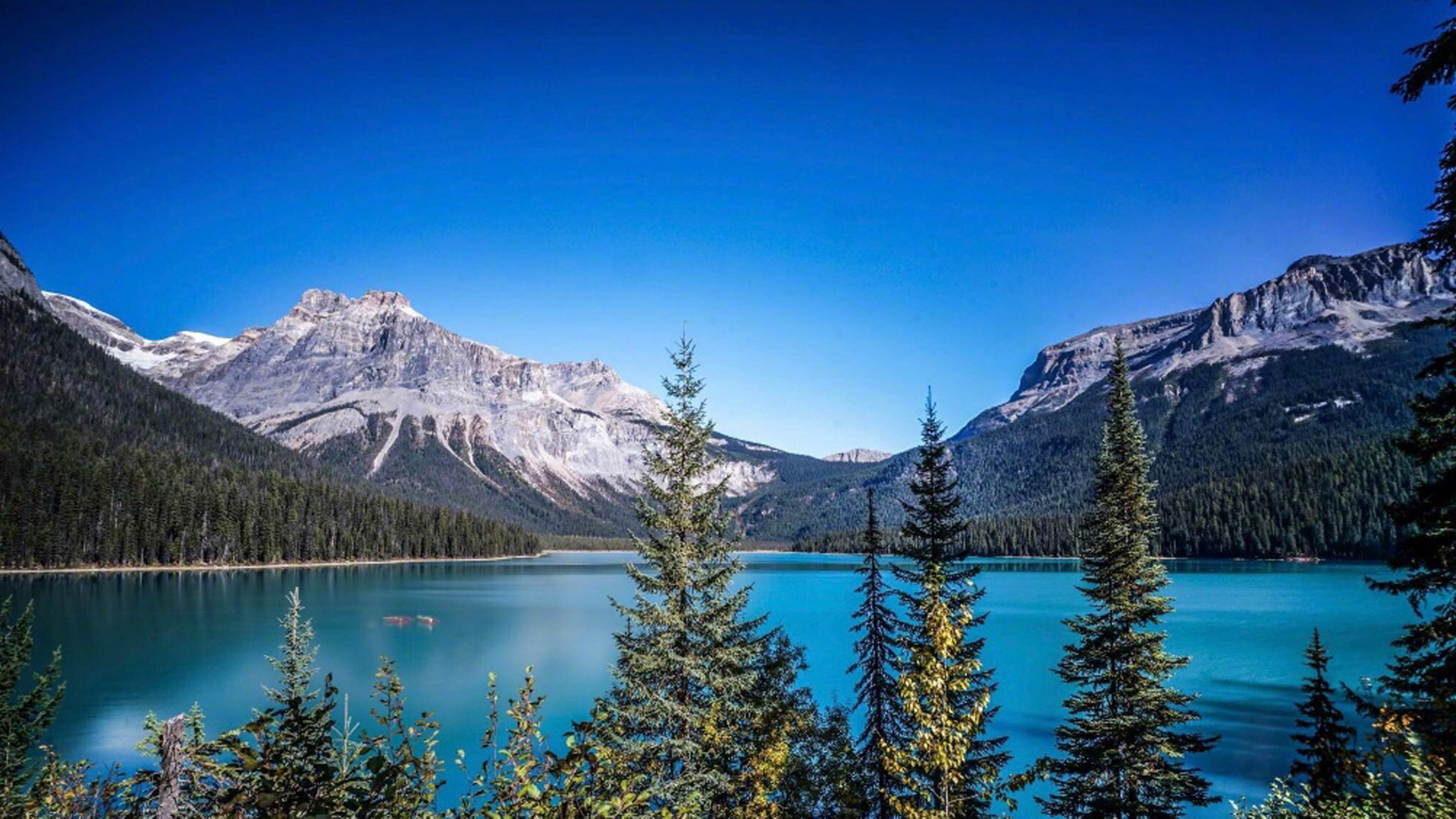 \u00e5\u00e7\u00e5\u00e5\u00e8\u00e7\u00ef\u00e5\u00e7\u00e5\u00e6\u00e4\u00e5\u00e5\u00e6\u00e8\u00e4\u00e5\u00e7\u00e5\u00e8