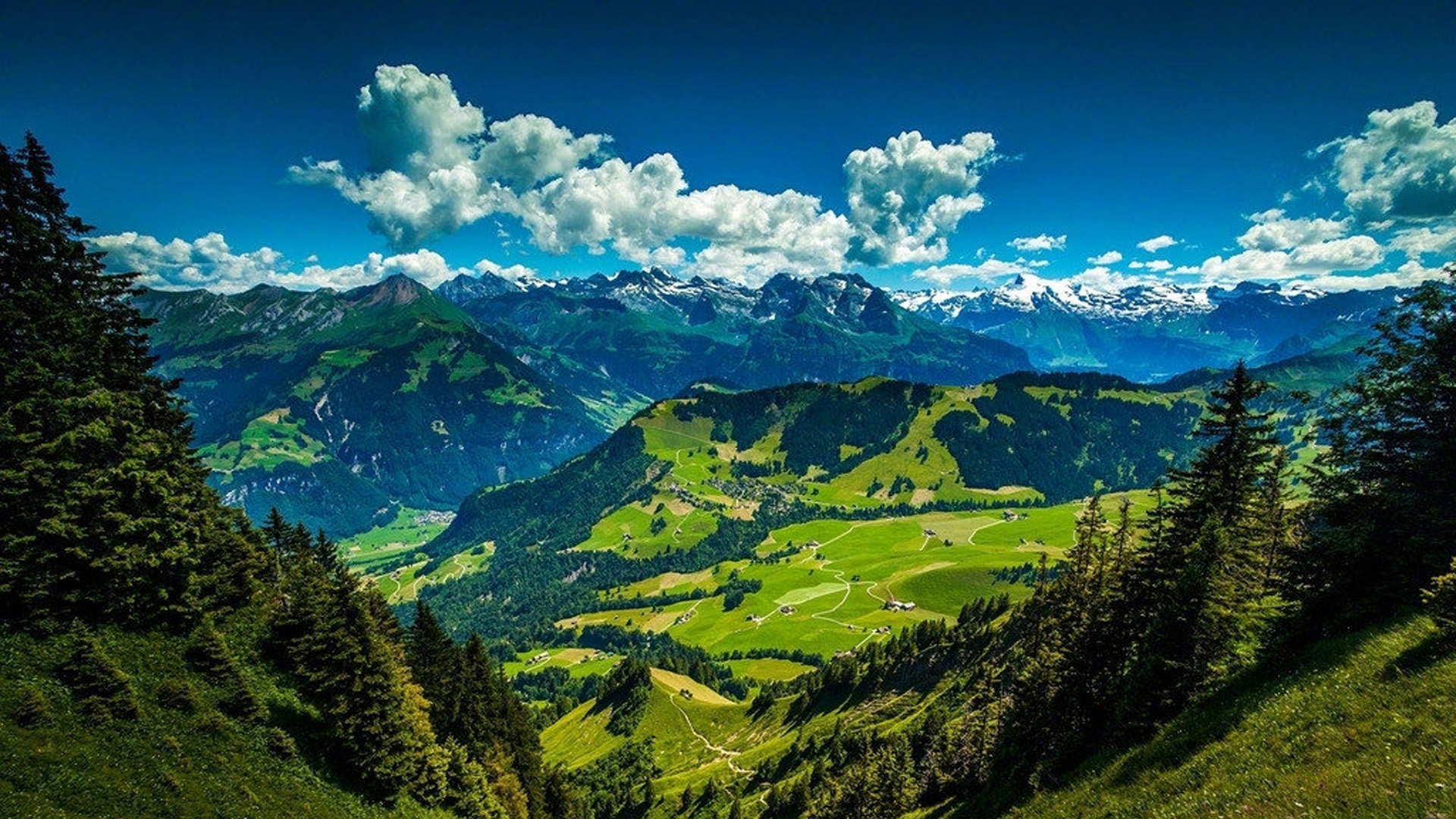 \u00e5\u00e5\u00e5\u00e6\u00e4\u00e4\u00e4\u00e5\u00e8\u00ef\u0053\u0043\u0052\u004d\u00e5\u00e4\u00e4\u00e5\u00e5\u00e4\u00e7\u00e4\u00e5