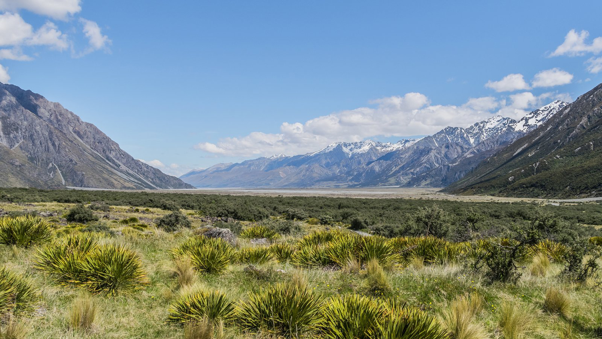 SCRM在移动营销中的应用