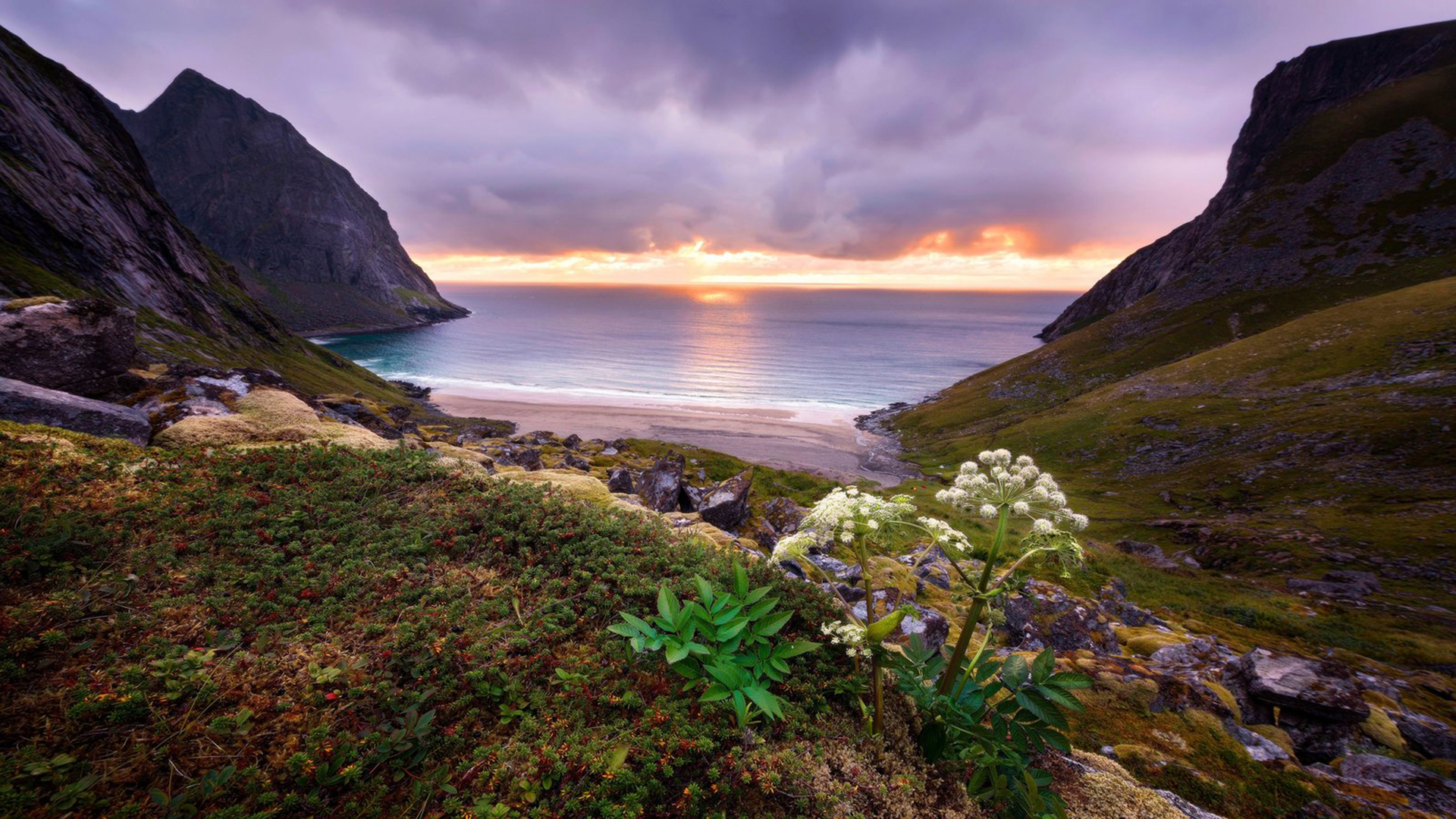 小程序应用：解锁商机的新利器，打造属于你的个人品牌