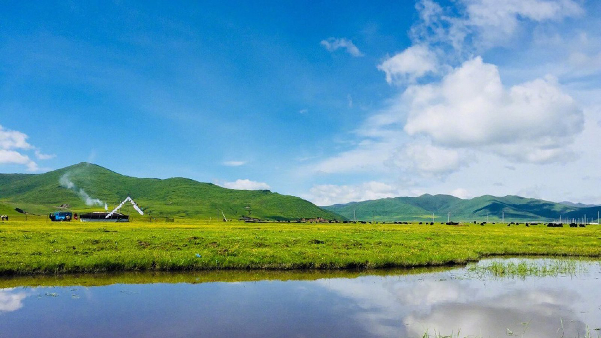 教育行业的学习助手：小程序提供在线课程、学习资源和学生管理