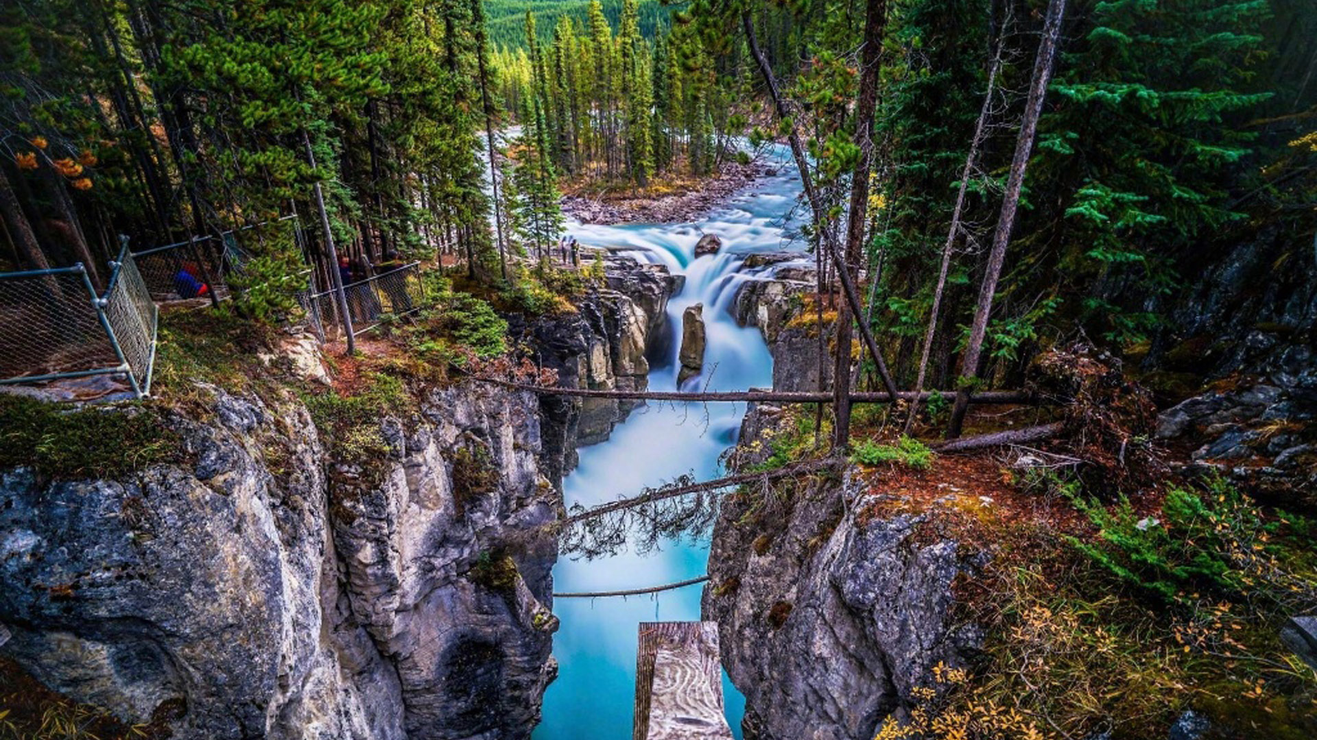 为什么人们每天都有刷朋友圈的习惯？