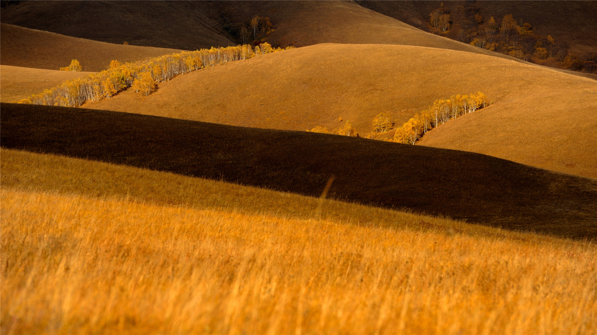 建立监测与反馈机制，持续改进企业微信的使用体验