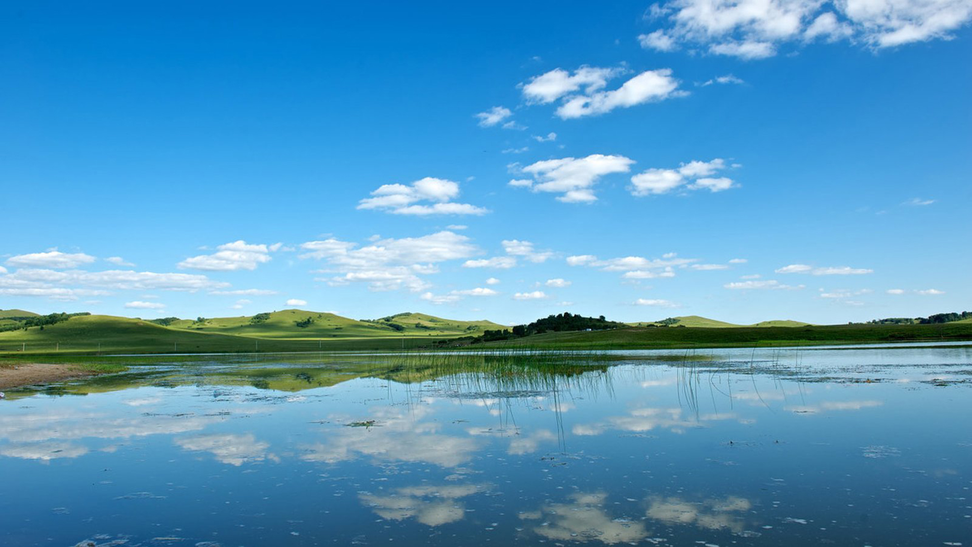 企业品牌推广为什么要做软文营销？