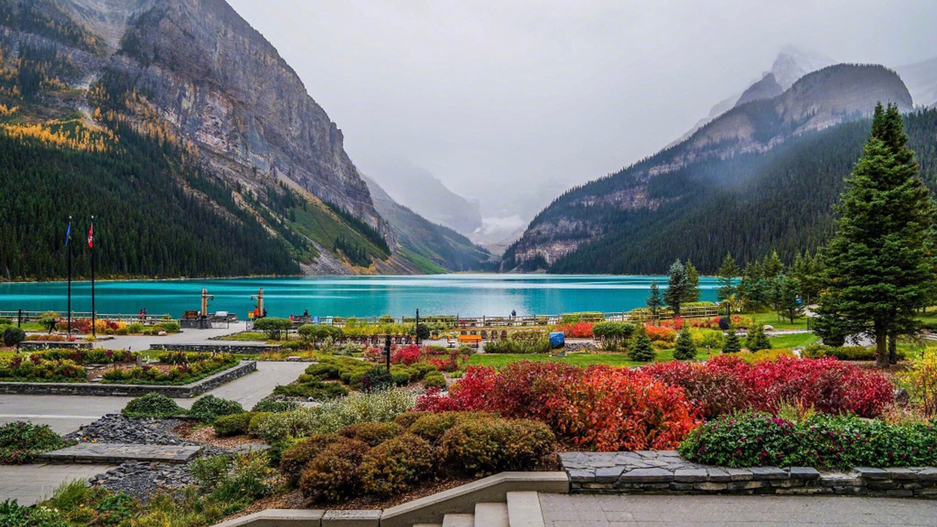 广东官网制作价格