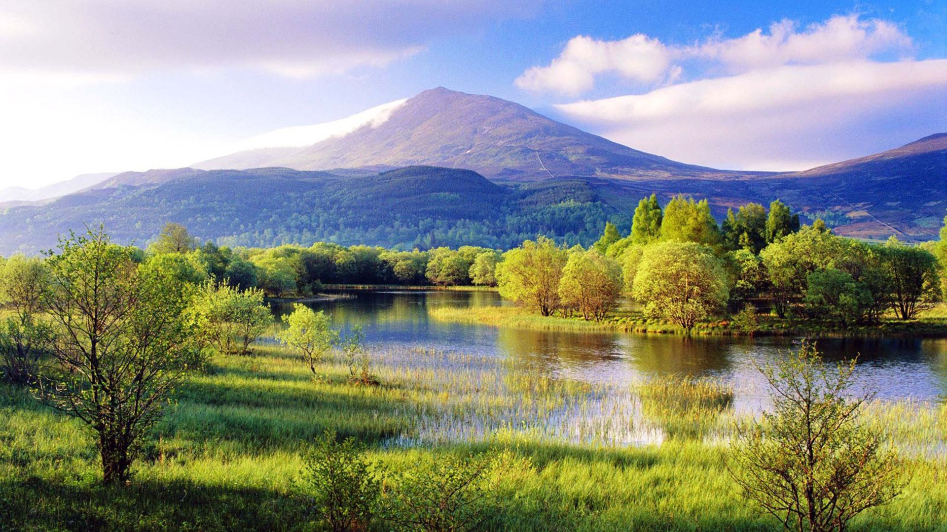 广东官网制作价格