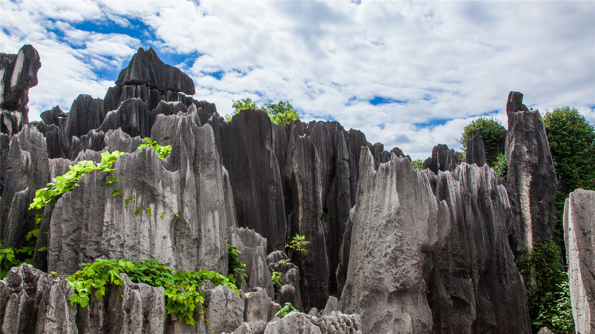 如何用企业微信一呼百应