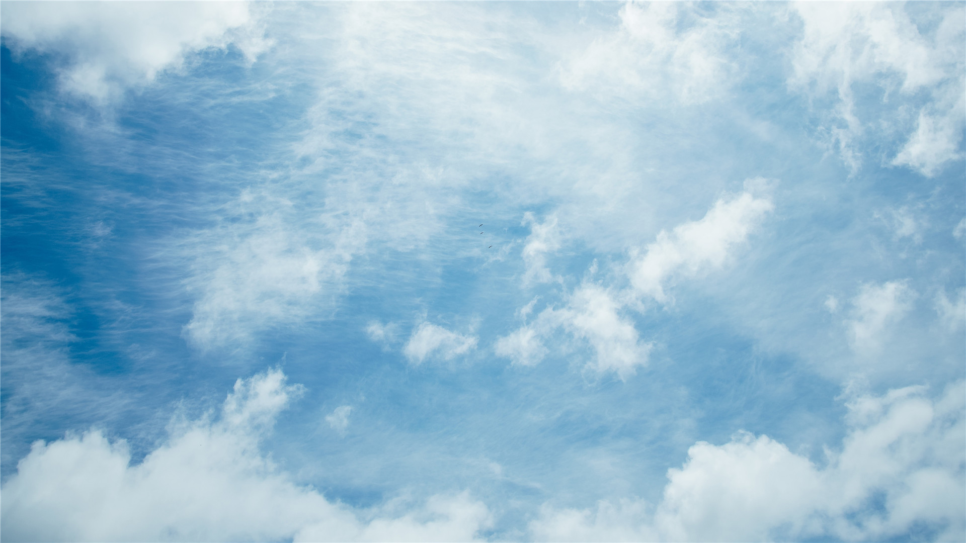 佛山<a href=https://www.kemr.cc/internet-software/sales-system-development.html target=_blank class=infotextkey>网站开发</a>供应商