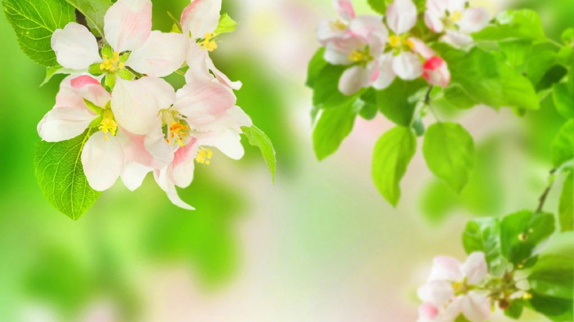 金融行业+企业微信会话存档功能？